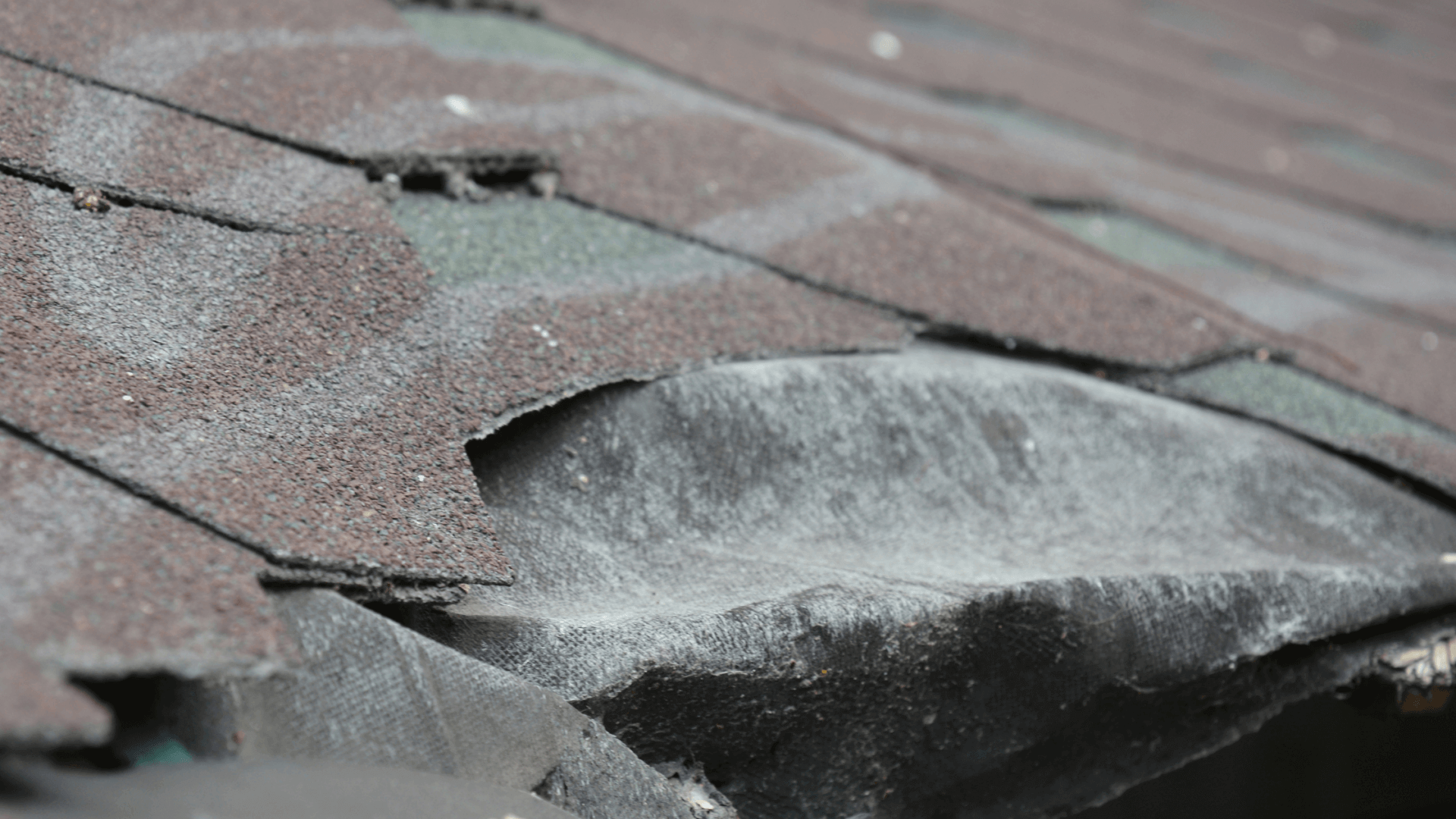 Wind-Driven Rain Intrusion Roofing