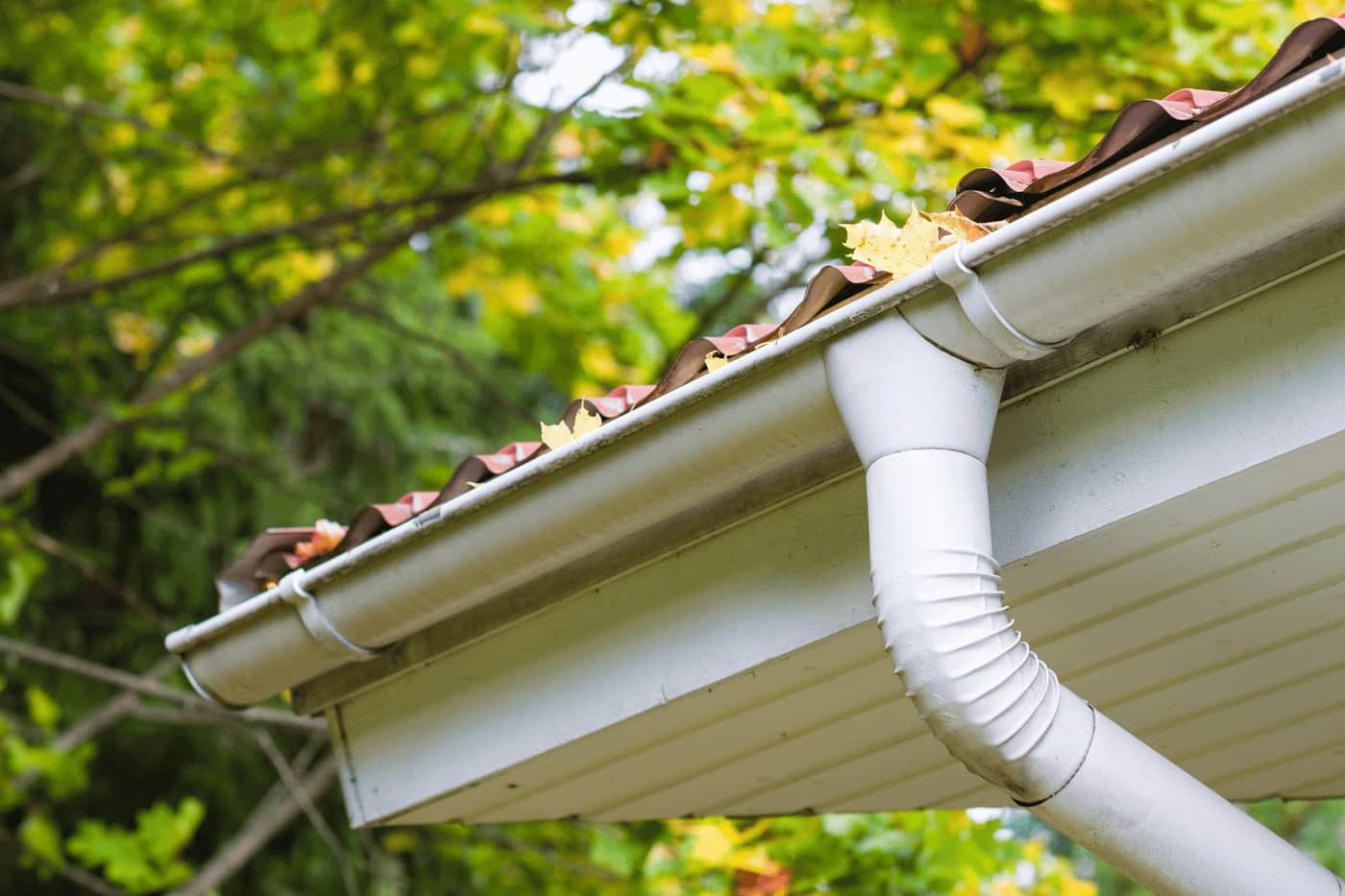 Roof Drains Scuppers